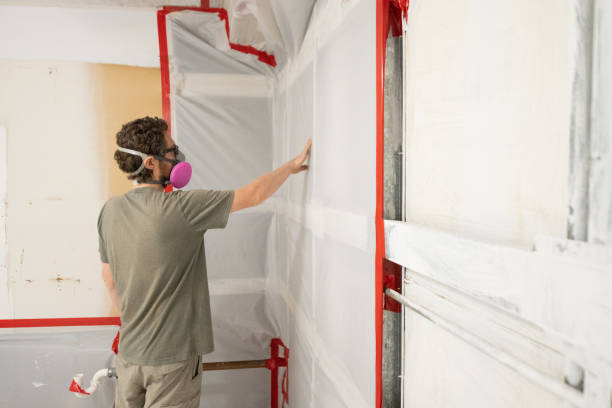 Professional Mold Removal in Stockton, MO