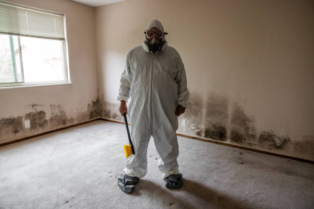 Mold Remediation for Vacation Homes in Stockton, MO